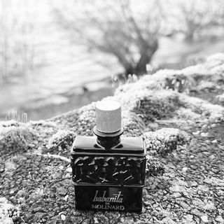 Habanita (1988) (Eau de Toilette) - Molinard
