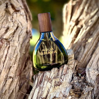 Agua Brava (1968) (Eau de Cologne)