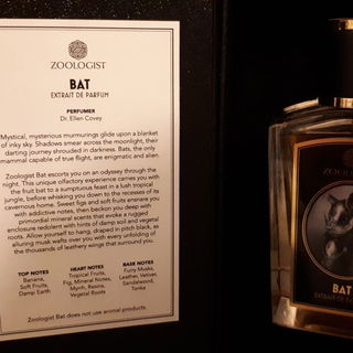 Bat (2015) by Zoologist