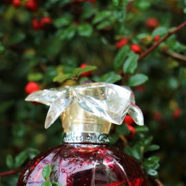 Délices de Cartier (Eau de Toilette) - Cartier
