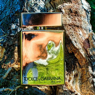 The One for Men Gold - Dolce & Gabbana