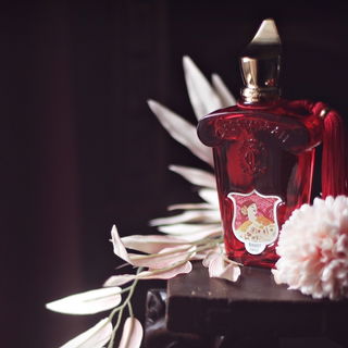 Ich bedanke mich bei euch allen für eure 🏆 und Kommentare 💋