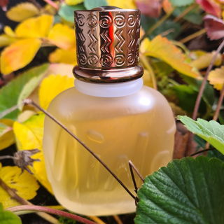 🧡💛🤎 perfekt für den Herbst 🤎💛🧡