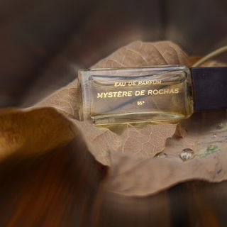 •⊰•⸙•⊱• der stille Monat November •⊰•⸙•⊱• ich Danke Euch und freue mich sehr über Euren Besuch und die lieben Kommentare •⊰•⸙•⊱•