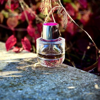 …📷🌍 Thank you. Danke schön. Merci beaucoup. Muchas gracias. Dōmo arigatō gozaimasu 💐…