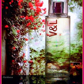 V&L para Mujer - Victorio & Lucchino