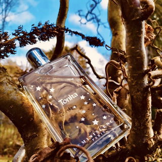 Tonka - Réminiscence