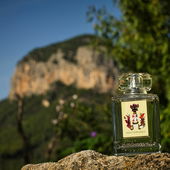 Blick auf den Puig d'Alaro - vielen Dank für eure lieben Worte (von DrHildegard)