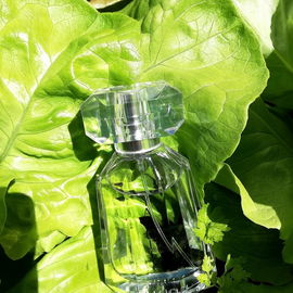 Ein beschwingter Duft, so knackig-frisch wie grüner Salat aus dem Beet.