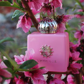 Alaïa (Eau de Parfum Blanche) - Azzedine Alaïa