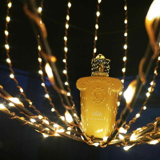 Casamorati - Lira (Eau de Parfum) von Xerjoff
