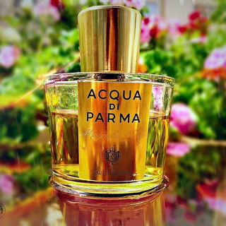Magnolia Nobile (Eau de Parfum) von Acqua di Parma