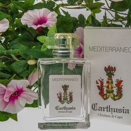 Mediterraneo (Eau de Toilette) - Carthusia