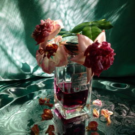 Rose Infernale - By Terry