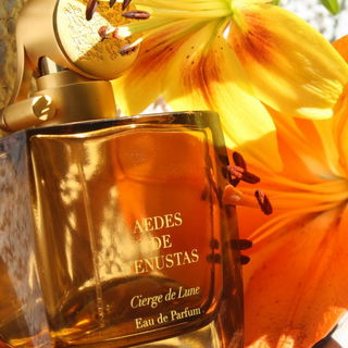 Eau des Merveilles (Eau de Toilette) - Hermès