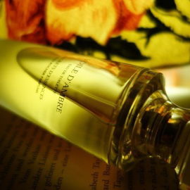 Secrets d'Essences - Voile d'Ambre (Eau de Toilette) - Yves Rocher