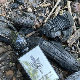 Series 3: Incense - Avignon - Comme des Garçons