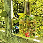 Ich danke euch für die lieben und schönen Kommentare und natürlich für's Vorbeischauen...:)) (by Toppine)