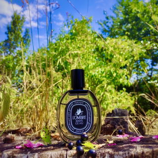 L'Ombre dans L'Eau (Eau de Parfum) - Diptyque