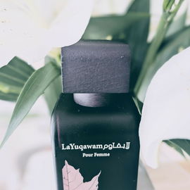 Orchid Noir