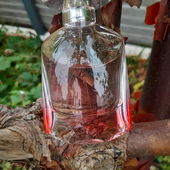 ....Im Herbst.... (von Kailani)