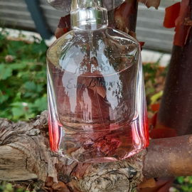 ....Im Herbst....