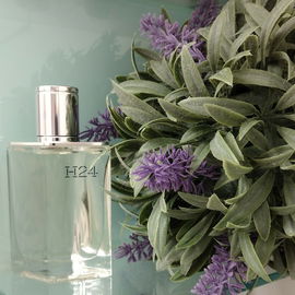 Opium pour Homme (Eau de Toilette) - Yves Saint Laurent