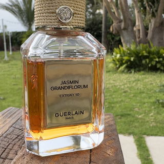 Jasmin Grandiflorum Extrait 30 von Guerlain