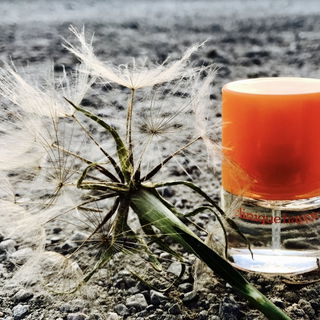 Happy (Perfume) - Clinique