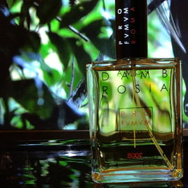 French Leather (Eau de Parfum) - Memo Paris