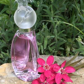 Secret Wish - Magic Romance - Anna Sui