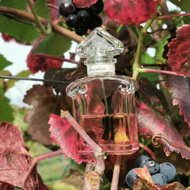La Petite Robe Noire (Eau de Parfum Couture) - Guerlain