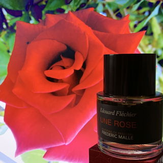 Rose Tonnerre / Une Rose von Editions de Parfums Frédéric Malle