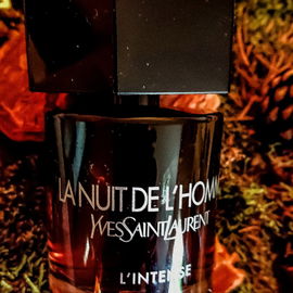 La Nuit de L'Homme L'Intense - Yves Saint Laurent