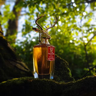 Kropp Och Själ - Pana Dora