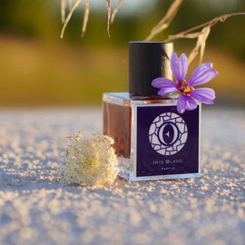 Iris Blanc - Ensar Oud / Oriscent