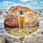 Ein Orientale im Watt I monumentaler Duft – monumentale Natur (by Knopfnase)