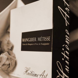 Manguier Métisse by Pierre Guillaume