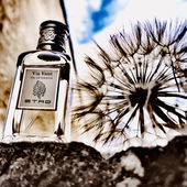 Wow, ich freu mich sehr über Eure netten Worte und bedanke mich ganz herzlich!! liebe Grüße und noch ein duftes Pfingstwochenende!!:-)) (von LaVioletta)