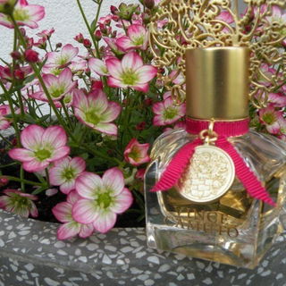 Vince Camuto (Eau de Parfum) - Vince Camuto