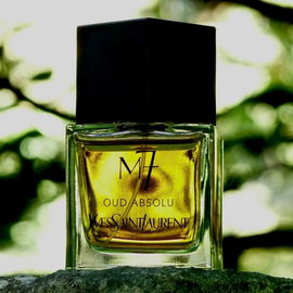 M7 (2011) / M7 Oud Absolu - Yves Saint Laurent