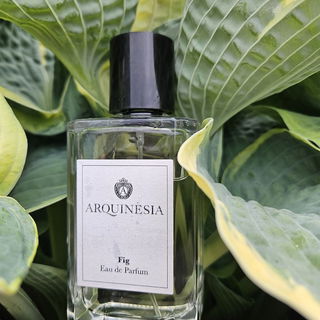 Fig von Arquinesia