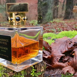 Oud Noir Intense - Fragrance Du Bois