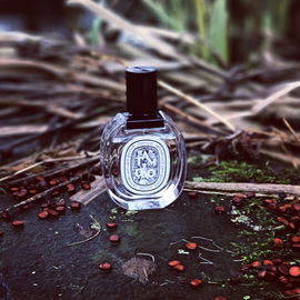Tam Dao (Eau de Toilette) - Diptyque