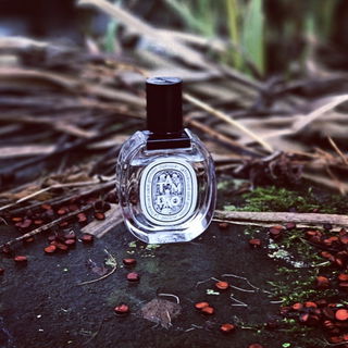 Tam Dao (Eau de Toilette) - Diptyque