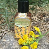 Die Blüte daneben ist kein Heideginster! Nur ein Gewächs aus einem Garten mit ähnlicher Blütenform (von Serafina)