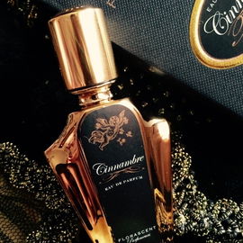 Les Exclusives - Cinnambre - Florascent