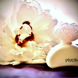 Pivoine - Yves Rocher