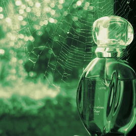 Eau Sauvage (Eau de Toilette) - Dior