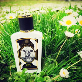 Cow Limited Edition - Zoologist